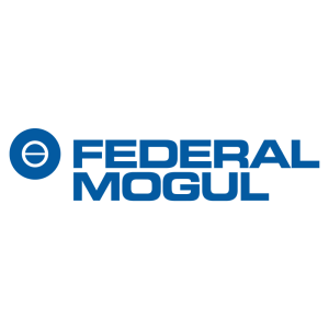 federal mogul federal mogul